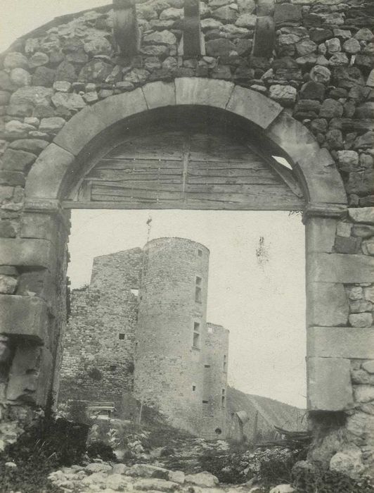 Château (restes) : Vue générale des ruines