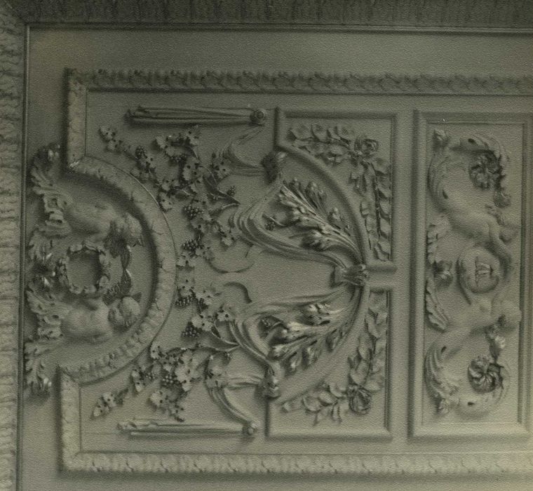 Château du Bourg : Grand salon, plafond, détail