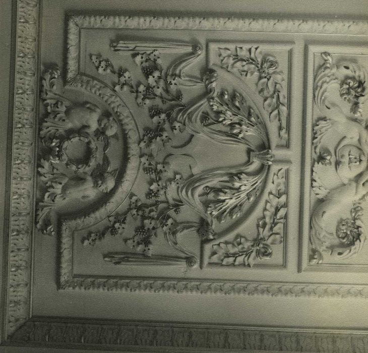 Château du Bourg : Grand salon, plafond, détail