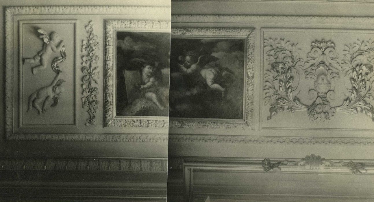 Château du Bourg : Grand salon, plafond, détail