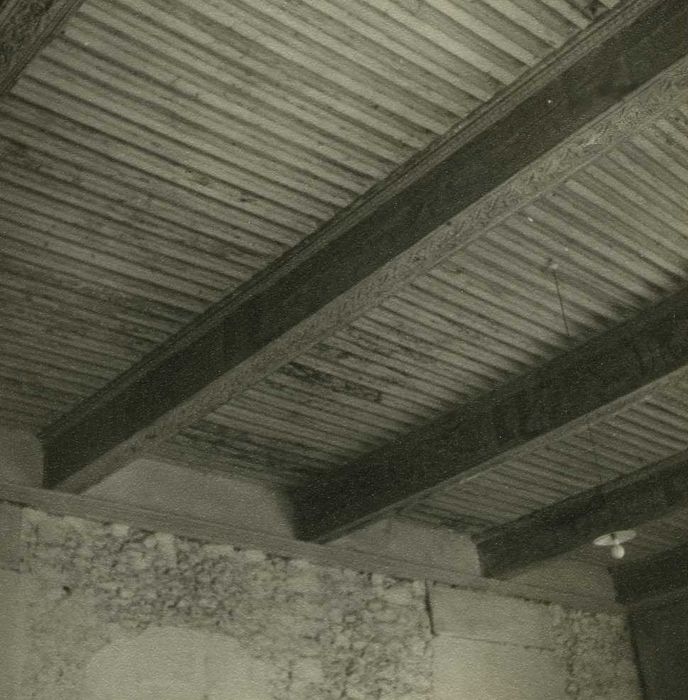 Château du Bourg : 1er étage, Grand salon, vue partielle du plafond