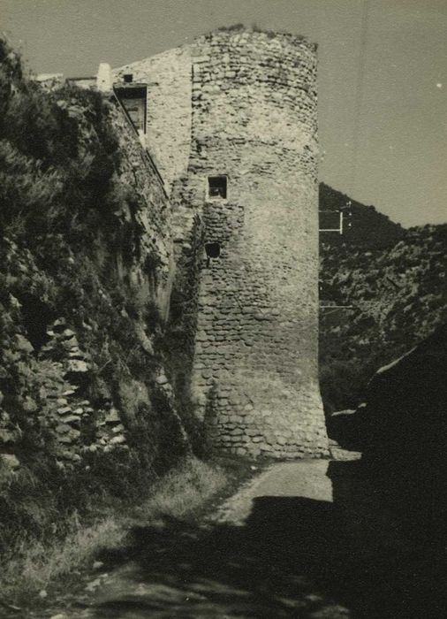 Château Vieux (ancien château Delphinal) : Vue partielle des remparts