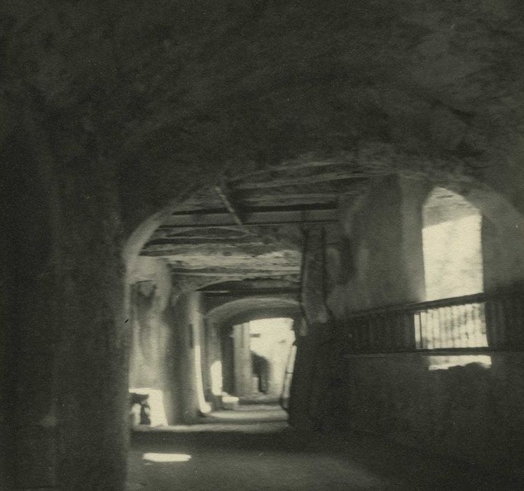 Château Vieux (ancien château Delphinal) : Passage vouté, ancien chemin de ronde sur les remparts, vue générale