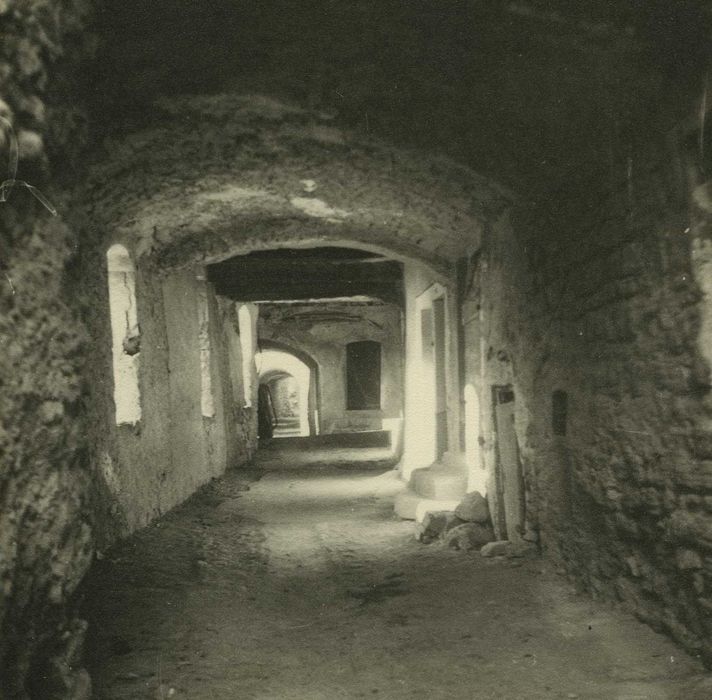 Château Vieux (ancien château Delphinal) : Passage vouté, ancien chemin de ronde sur les remparts, vue générale