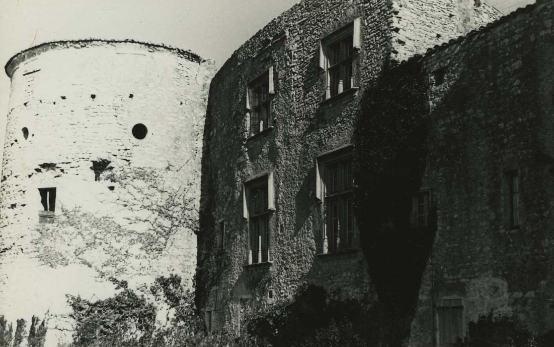 Château : Façade ouest, vue partielle