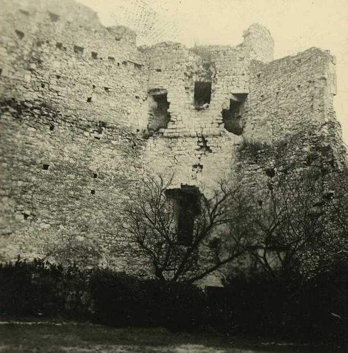 Château : Cour intérieure, tour nord-est, vue générale