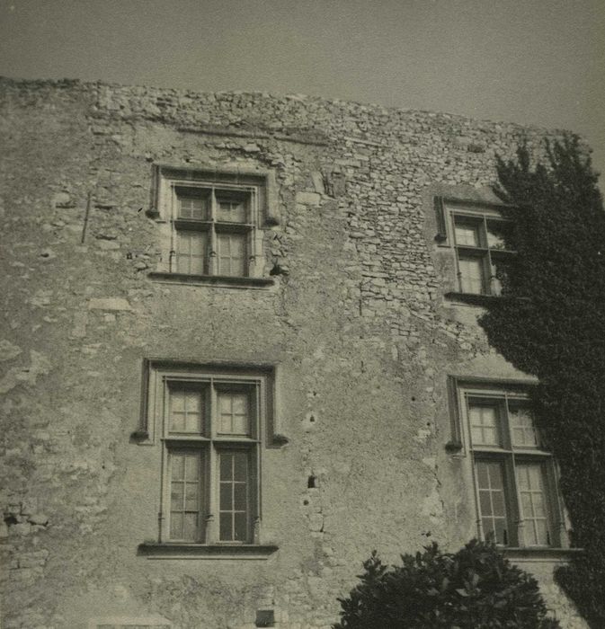 Château : Façade ouest, vue partielle