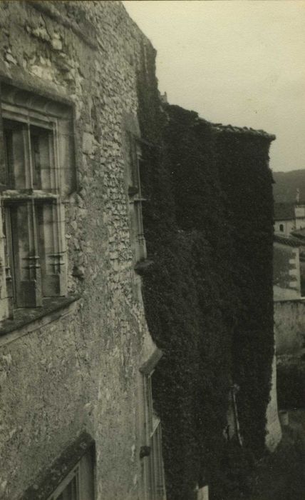 Château : Façade ouest, vue partielle