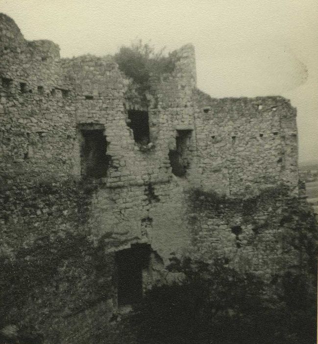 Château : Cour intérieure, tour nord-est, vue générale