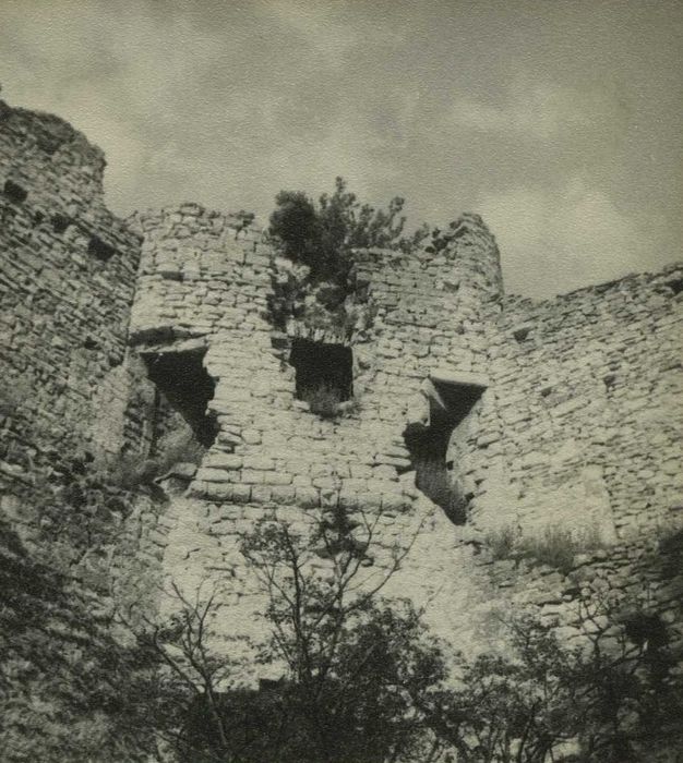 Château : Cour intérieure, tour nord-est, vue générale