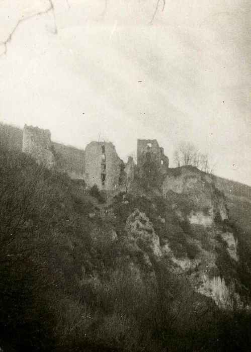 Château : Vue générale des ruines dans leur environnement