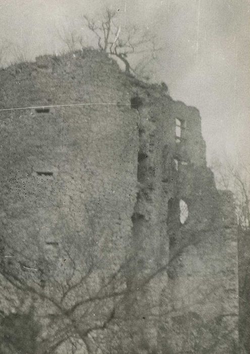 Château : Vue partielle des ruines