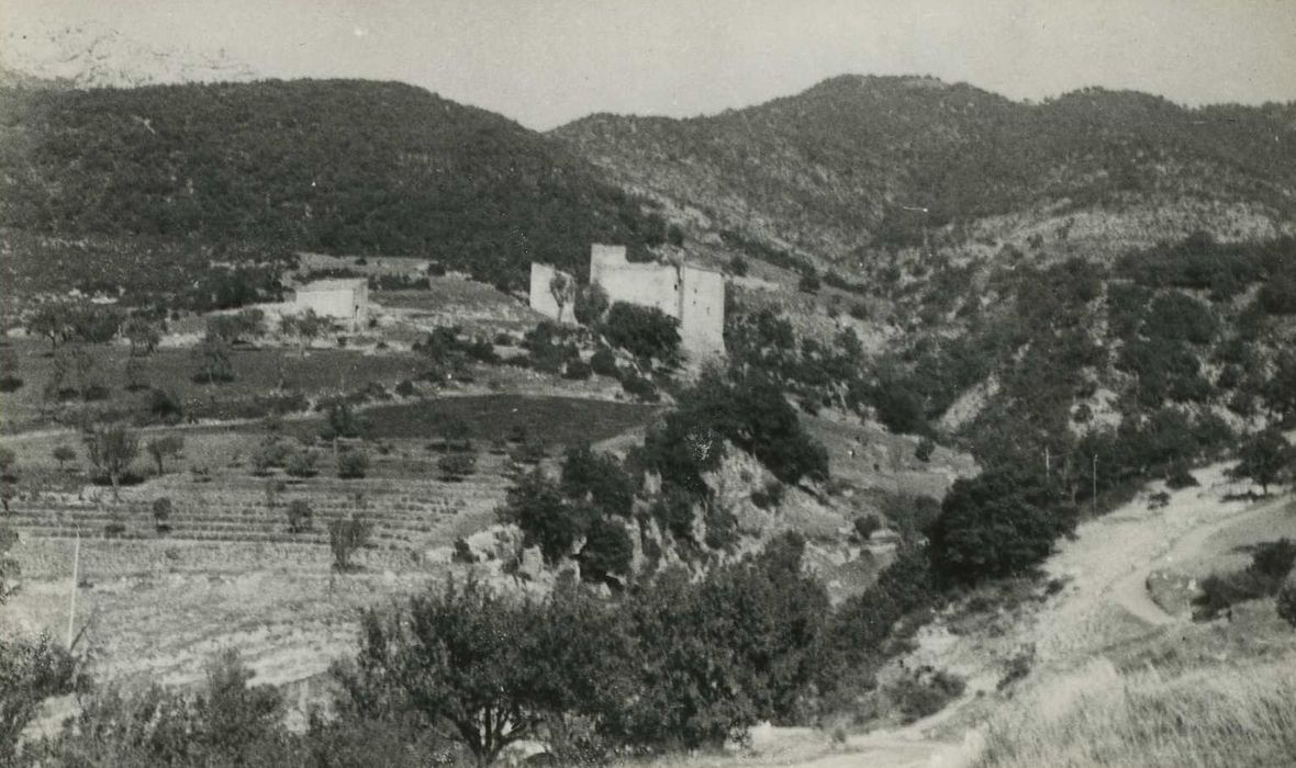 Château de Gouvernet (ruines) : Vue générale du château dans son environnement