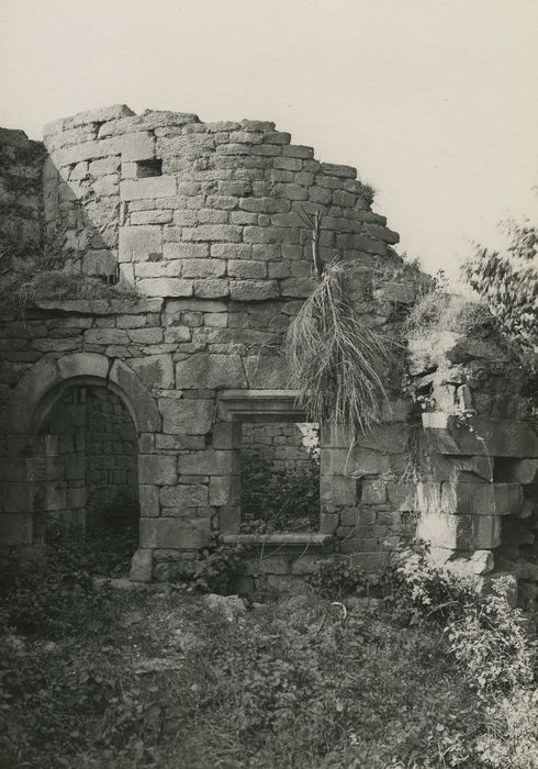 Ancien manoir de la Forêt, à Kerfeunten : Pigeonnier ruiné, vue générale