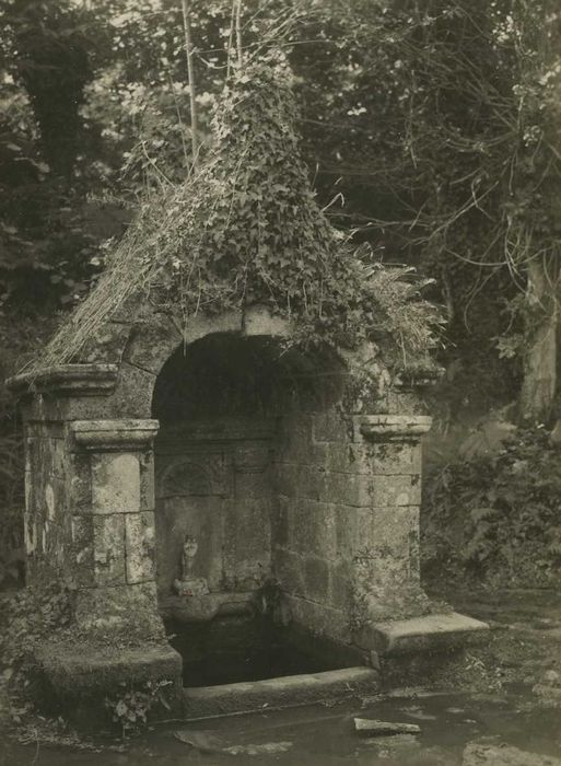 Fontaine Notre-Dame-des-Vertus : Vue générale