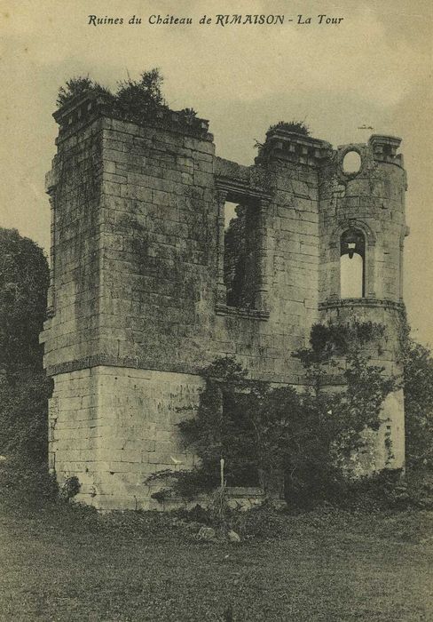 Château de Rimaison : Vue partielle des ruines