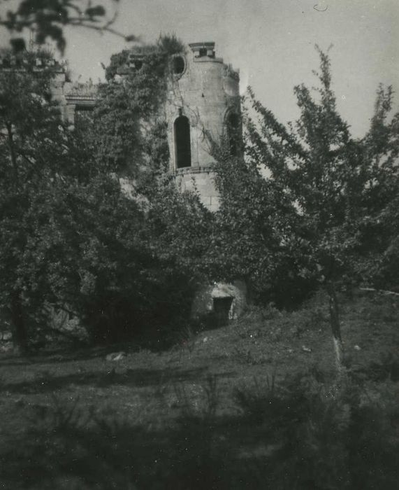 Château de Rimaison : Vue partielle des ruines