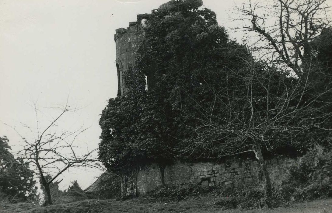 Château de Rimaison : Vue partielle des ruines