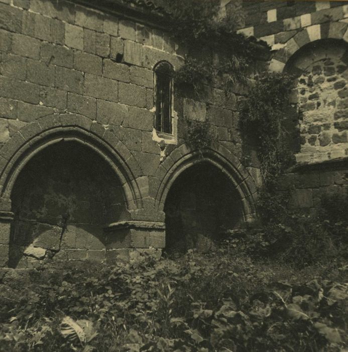 Ancienne abbaye de Doue : Eglise abbatiale, sacritie, enfeux, vue générale