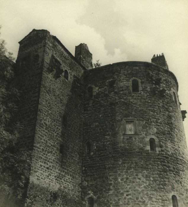 Château et son enceinte : Tour sud-ouest, vue partielle