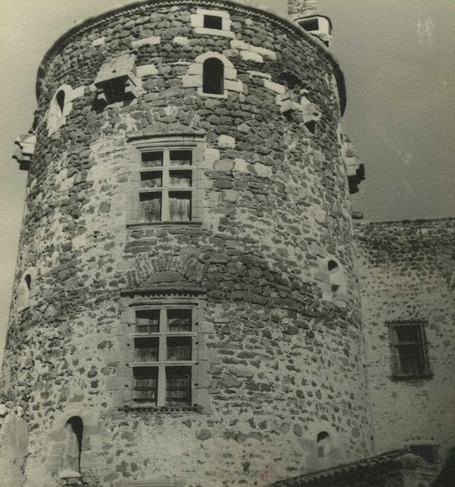 Château et son enceinte : Tour sud-ouest, vue partielle