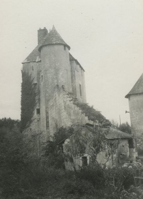 Vestiges du château, vue générale