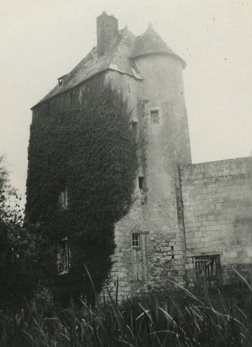 Vestiges du château, vue générale