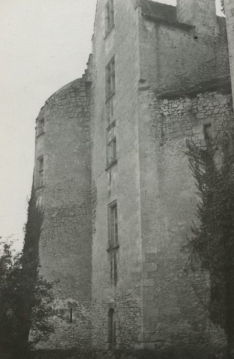 Ruines du château : Façade ouest, vue partielle