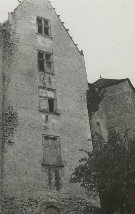 Ruines du château : Façade ouest, vue partielle