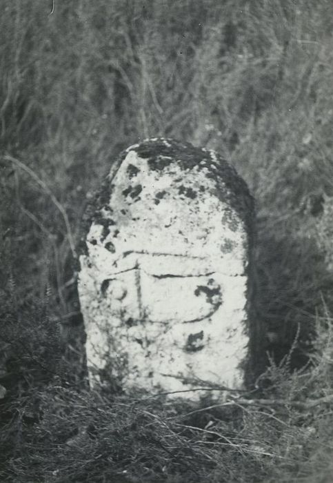 Borne, vue générale