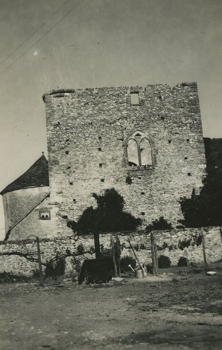 Vestiges du donjon : Elévation ouest, vue générale