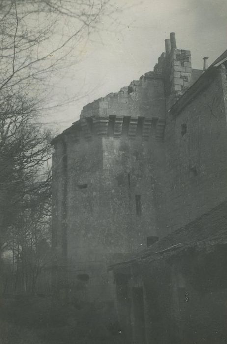 Château de Cravant, dit Le Vieux Château : Façade ouest, vue partielle