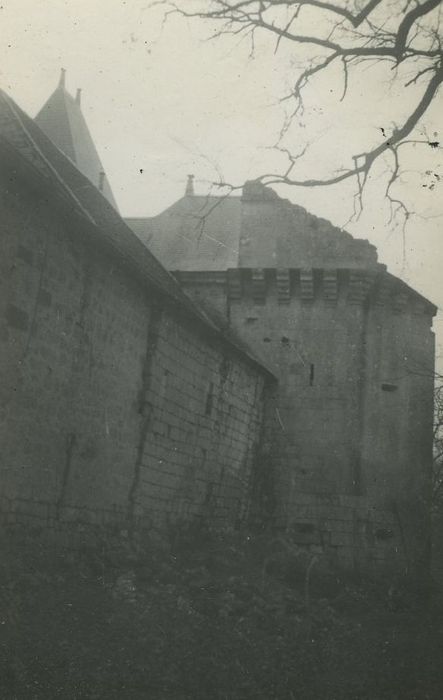 Château de Cravant, dit Le Vieux Château : Façade ouest, vue partielle