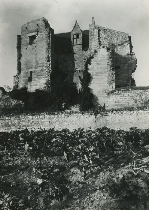 Château de Crissay : Vue générale des ruines