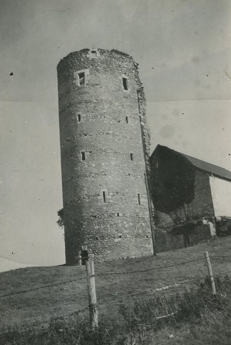 Prieuré de Lavaré : Tour nord, vue générale