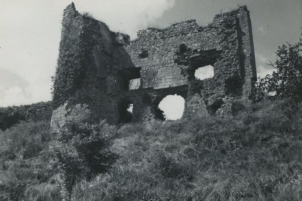 Ruines du donjon d'Etableaux : Vue partielle des ruines