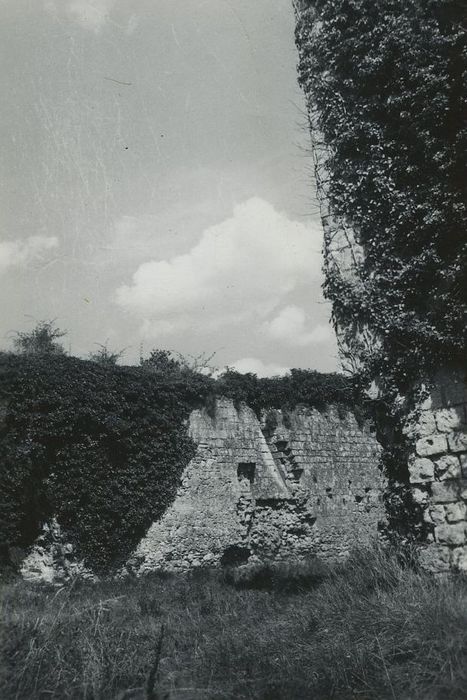 Ruines du donjon d'Etableaux : Vue partielle des ruines