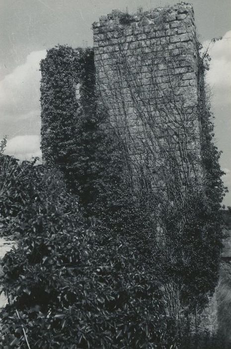 Ruines du donjon d'Etableaux : Vue partielle des ruines