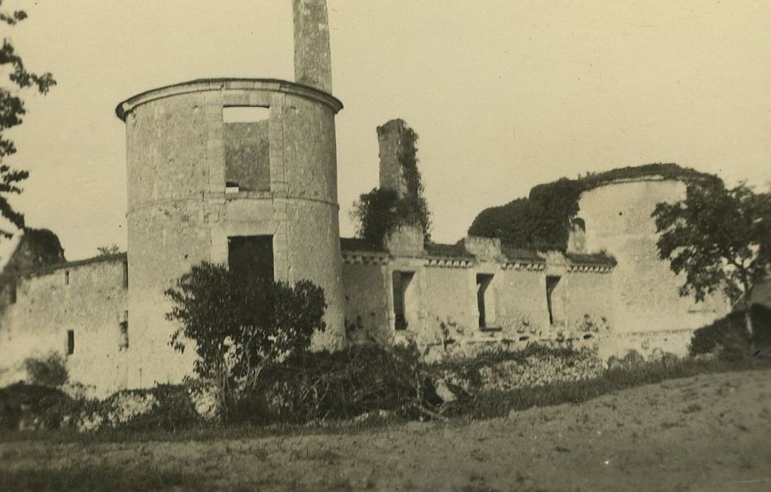 Ruines du château : Ensemble sud-ouest, vue générale