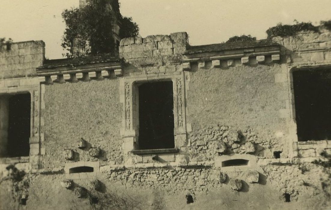 Ruines du château : Façade sud, vue partielle