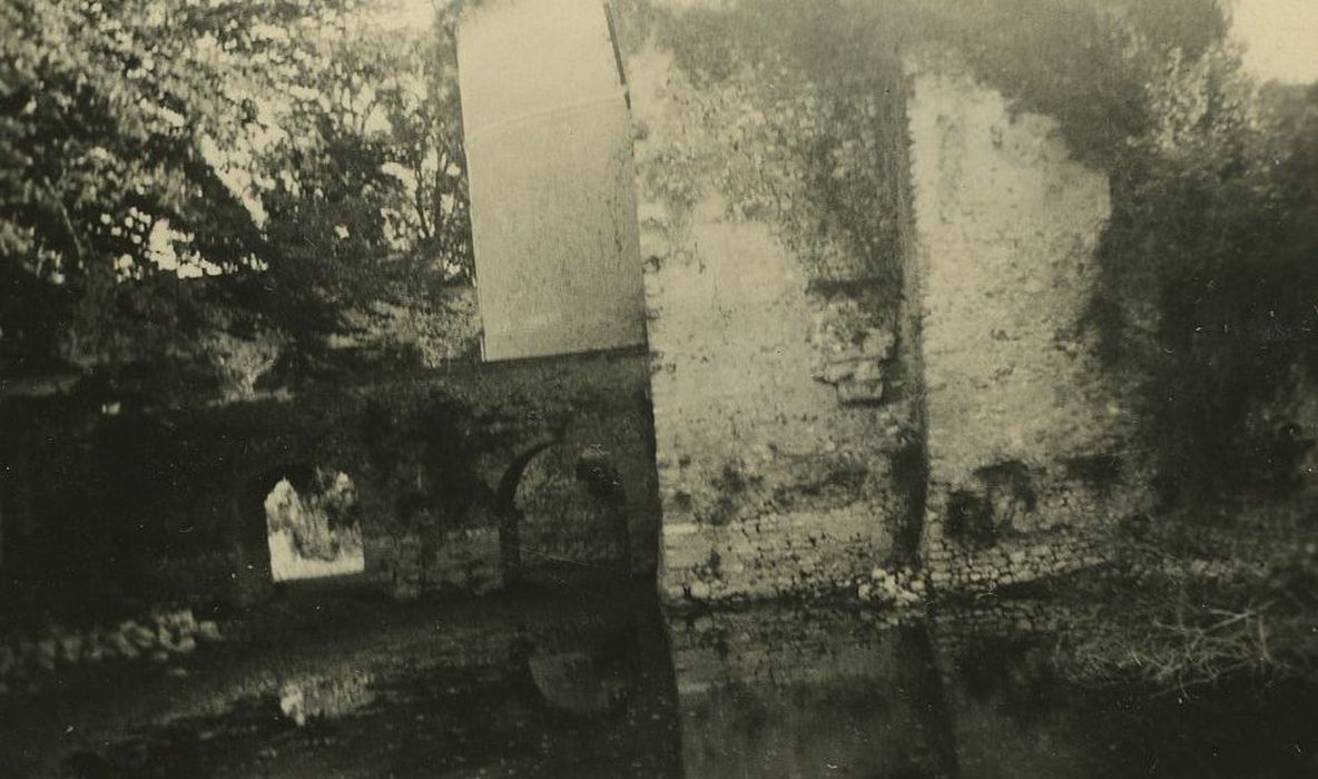 Ruines du château : Angle nord-ouest, vue partielle