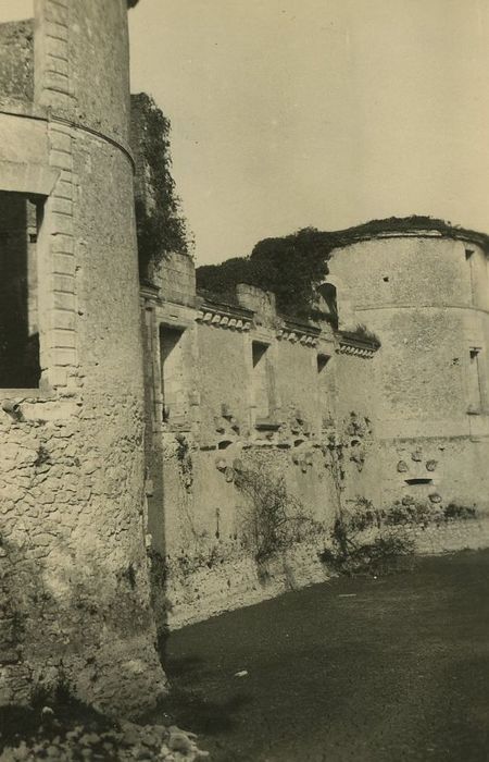 Ruines du château : Façade sud, vue partielle