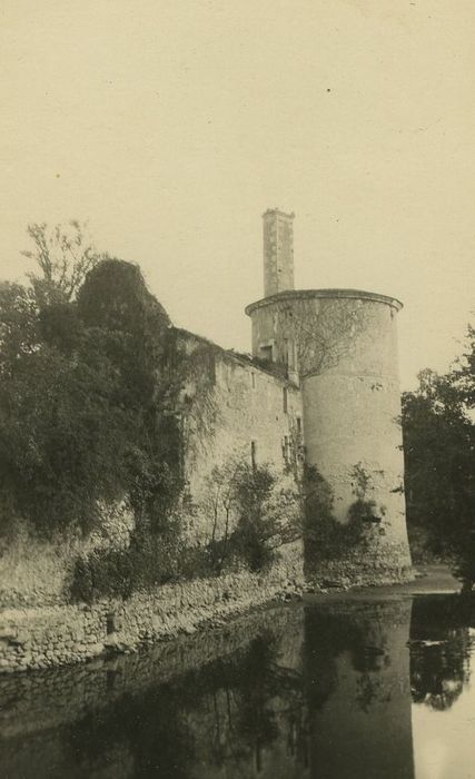 Ruines du château : Courtine ouest, vue générale