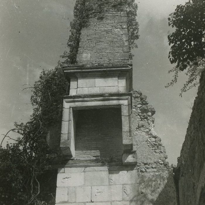 Ruines du château : Détail d’une cheminée