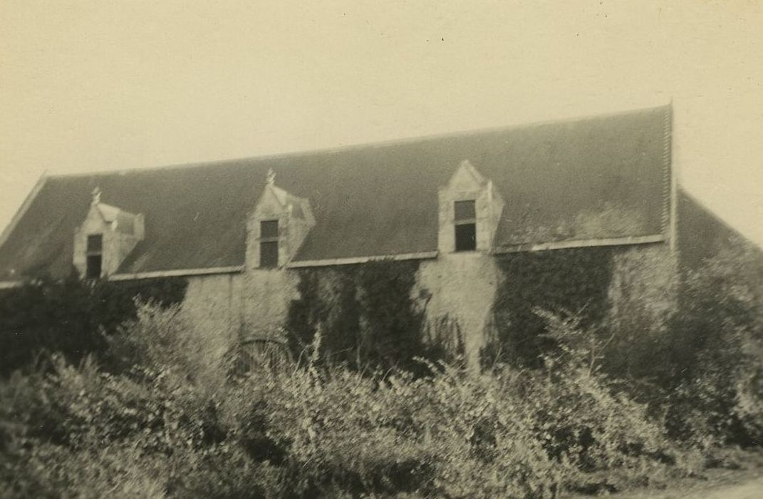 Ruines du château : Communs, façade nord, vue partielle