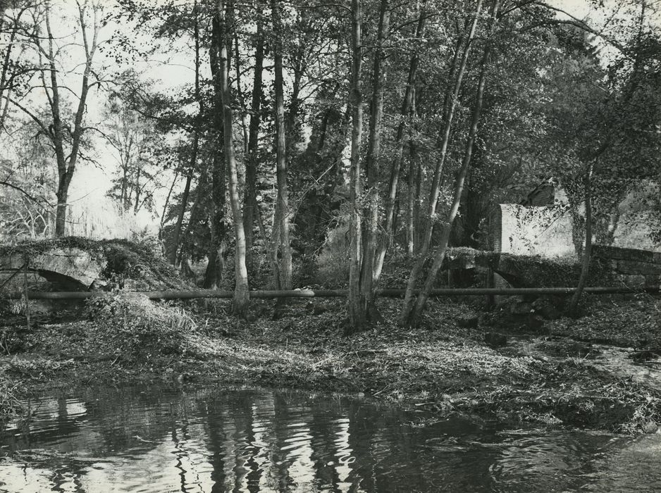 Vestiges du pont dit Arche du Pin, vue partielle