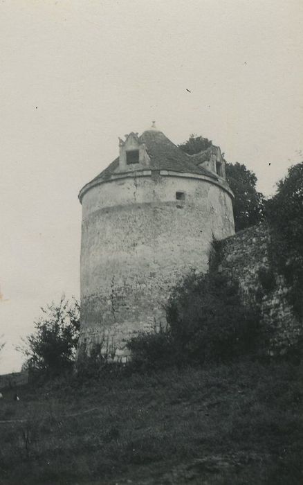 Manoir de La Châtière : Tour nord-est, vue générale