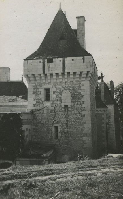 Château de La Louère : Donjon, élévation sud, vue générale