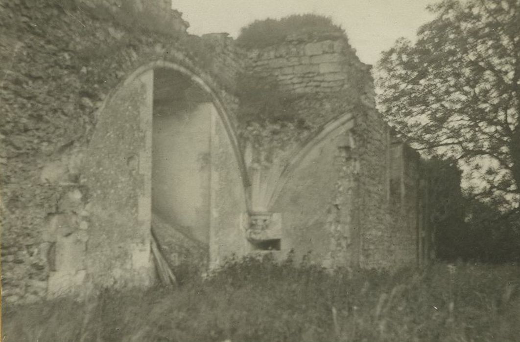 Vestiges du château de Mondon : Vue partielle des ruines