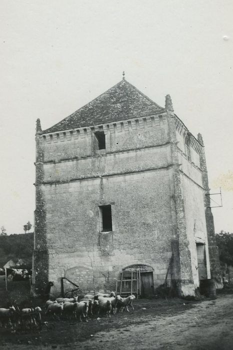 Château du Pressoir : Fuye, vue générale